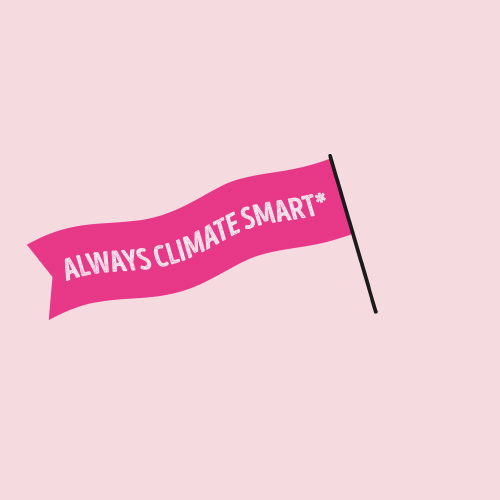 Climate Smart Flag Animation